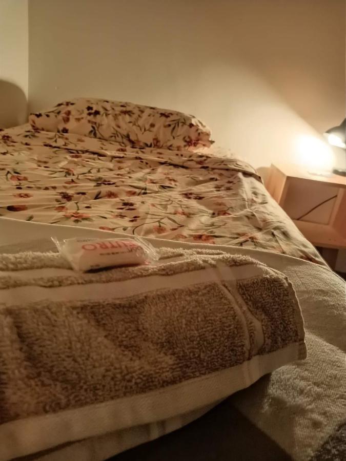 Hostal Del Centro En Slp San Luis Potosí Exterior foto
